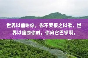 世界以痛吻你，你不要报之以歌，世界以痛吻你时，你扇它巴掌啊。