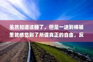 虽然知道该睡了，但是一进到棉被里就感觉到了所谓真正的自由，反而精神都来了。
