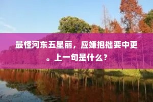 最怪河东五星丽，应嫌抱拙要中更。上一句是什么？