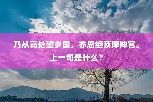 乃从高处望乡国，亦思绝顶摩神宫。上一句是什么？