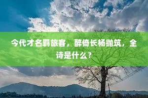 今代才名羁旅客，醉倚长杨抛筑，全诗是什么？