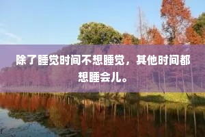 除了睡觉时间不想睡觉，其他时间都想睡会儿。
