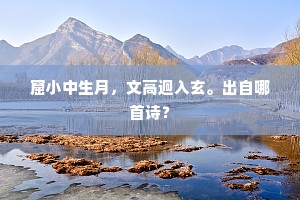 窟小中生月，文高迥入玄。出自哪首诗？