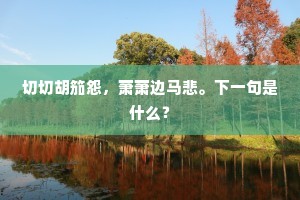 切切胡笳怨，萧萧边马悲。下一句是什么？