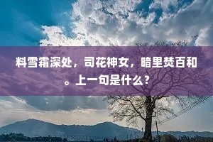 料雪霜深处，司花神女，暗里焚百和。上一句是什么？