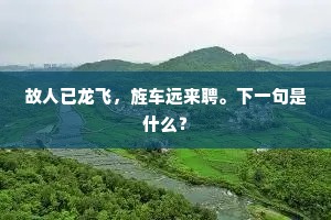 故人已龙飞，旌车远来聘。下一句是什么？