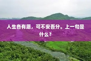 人生各有愿，可不安吾分。上一句是什么？