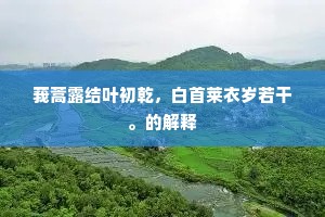 莪蒿露结叶初乾，白首莱衣岁若干。的解释