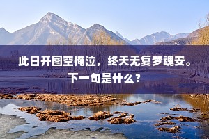 此日开图空掩泣，终天无复梦魂安。下一句是什么？