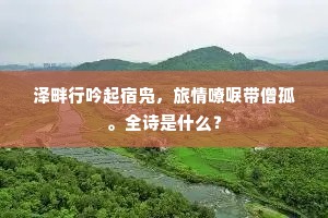 泽畔行吟起宿凫，旅情嘹唳带僧孤。全诗是什么？