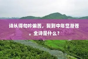 诗从得句吟偏苦，鬓到中年觉渐苍。全诗是什么？