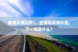 策清大漠以尺箠，生缚匈奴用长组。下一句是什么？