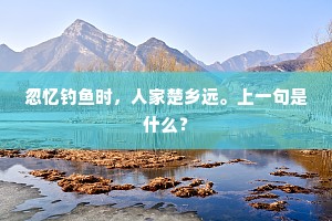 忽忆钓鱼时，人家楚乡远。上一句是什么？