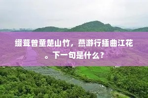 缀葺曾童楚山竹，燕游行插曲江花。下一句是什么？