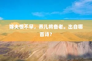 嫁夫恨不早，养儿将备老。出自哪首诗？