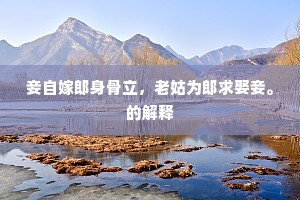 妾自嫁郎身骨立，老姑为郎求娶妾。的解释