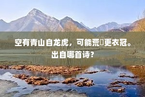 空有青山自龙虎，可能荒塚更衣冠。出自哪首诗？