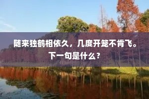 随来独鹤相依久，几度开笼不肯飞。下一句是什么？