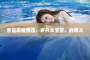 曾是霜侵雪压，岁月去堂堂。的释义