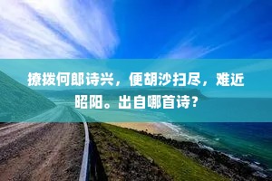 撩拨何郎诗兴，便胡沙扫尽，难近昭阳。出自哪首诗？