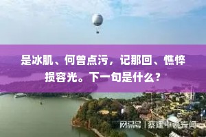 是冰肌、何曾点污，记那回、憔悴损容光。下一句是什么？