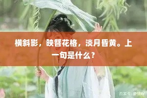 横斜影，映簪花格，淡月昏黄。上一句是什么？