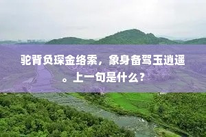 驼背负琛金络索，象身备驾玉逍遥。上一句是什么？