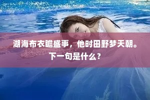 湖海布衣瞻盛事，他时田野梦天朝。下一句是什么？