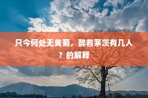 只今何处无黄菊，醉着茅茨有几人？的解释