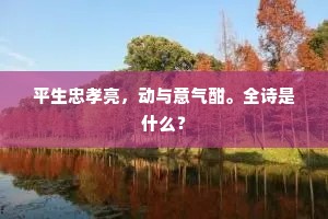 平生忠孝亮，动与意气酣。全诗是什么？
