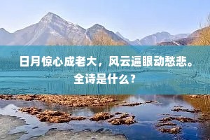 日月惊心成老大，风云逼眼动愁悲。全诗是什么？