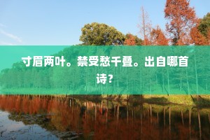 寸眉两叶。禁受愁千叠。出自哪首诗？