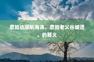 忽如达摩航海涛，忽如老父谷城遭。的释义