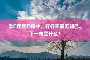 勃窣理窟乃胸中，行行不患无知己。下一句是什么？