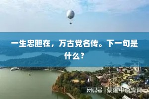 一生忠胆在，万古党名传。下一句是什么？