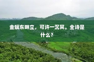 金螭东畔立，可许一沉冥。全诗是什么？