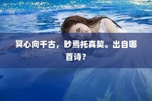 冥心向千古，眇焉托真契。出自哪首诗？
