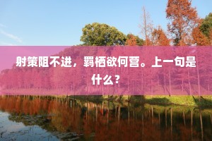 射策阻不进，羁栖欲何营。上一句是什么？