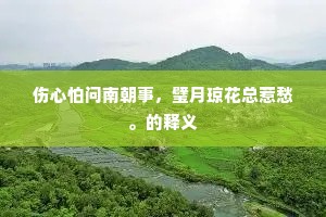 伤心怕问南朝事，璧月琼花总惹愁。的释义