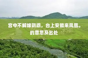 宫中不解嫁鹦鹉，台上安能来凤凰。的意思及出处