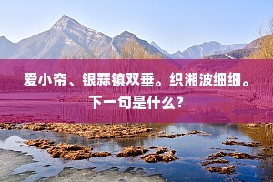爱小帘、银蒜镇双垂。织湘波细细。下一句是什么？