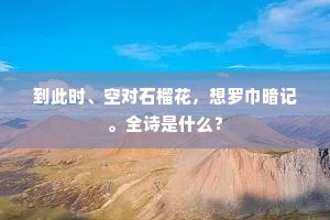 到此时、空对石榴花，想罗巾暗记。全诗是什么？