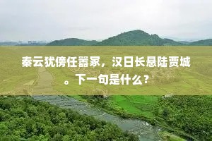 秦云犹傍任嚣冢，汉日长悬陆贾城。下一句是什么？