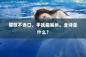 称叹不去口，手抚霜髯长。全诗是什么？