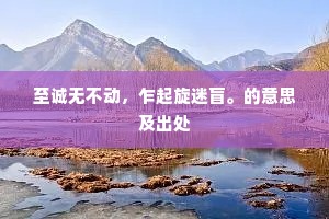 至诚无不动，乍起旋迷盲。的意思及出处