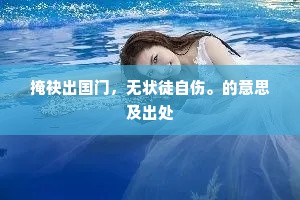 掩袂出国门，无状徒自伤。的意思及出处