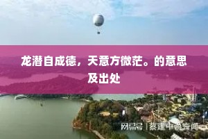 龙潜自成德，天意方微茫。的意思及出处