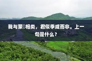 我与蒙倛相类，君似季咸而非。上一句是什么？