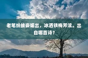 老笔纷披姿媚出，冰洒铁梅芳泫。出自哪首诗？