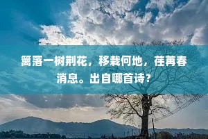 篱落一树荆花，移栽何地，荏苒春消息。出自哪首诗？